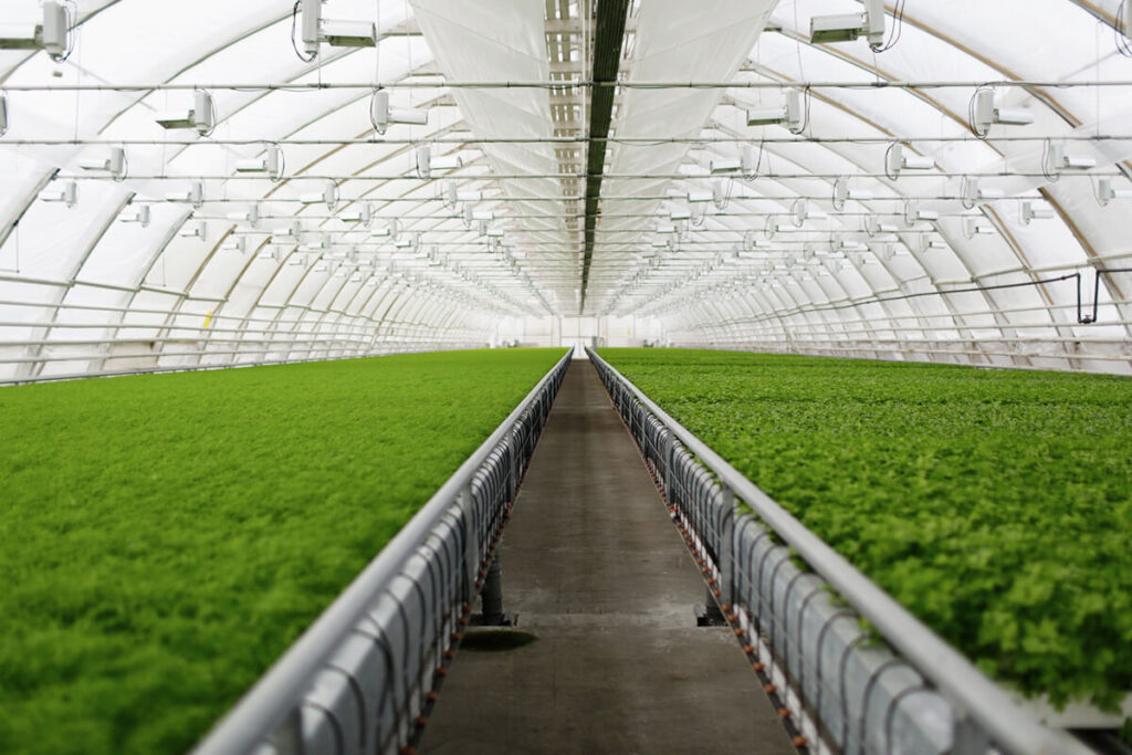Agricultural Building 10 Agricultural Building Services 2