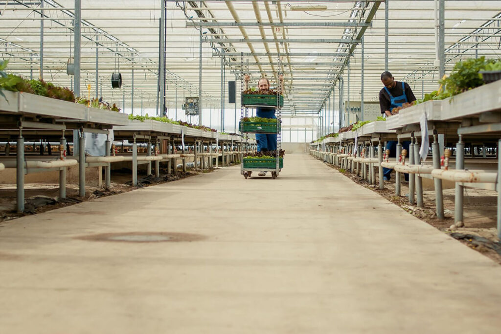 Agricultural Building 11 Agricultural Building Services 3