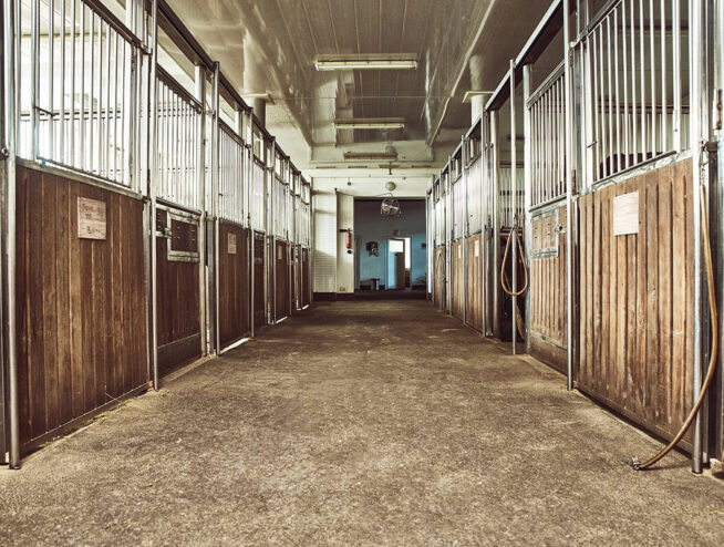 Equestrian Stable