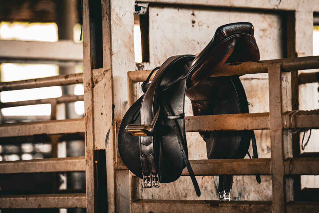 Equestrian Stable 12 Equestrian Stable Services 3